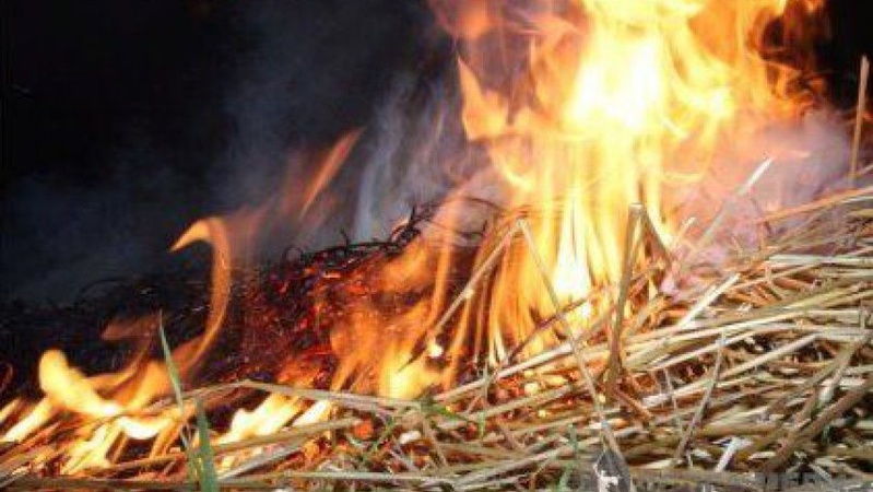 Вогнеборці ліквідували дві пожежі у селах Луцького району