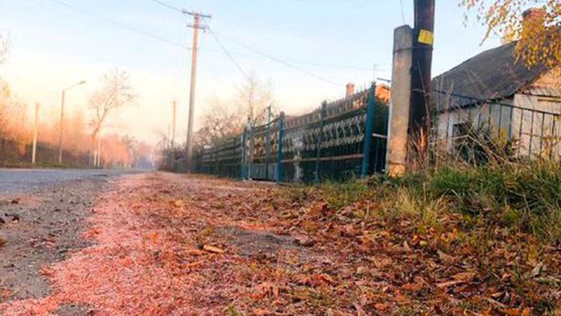 Мешканці селища на Волині потерпають від «червоного снігопаду»