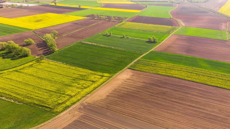 Ціни на землю ростуть: уряд назвав області з найдорожчими гектарами