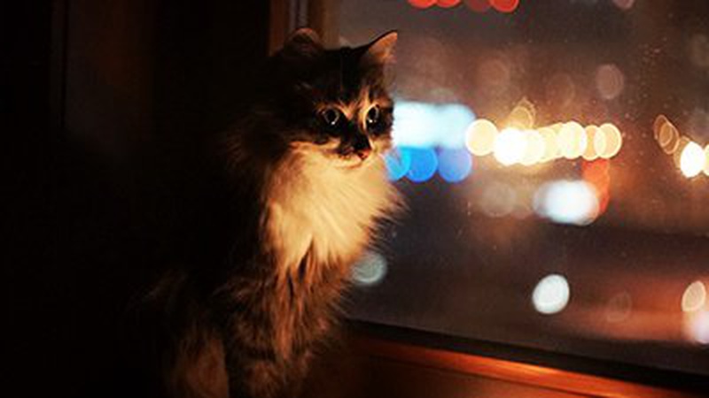 Де на Волині не буде світла 20 грудня