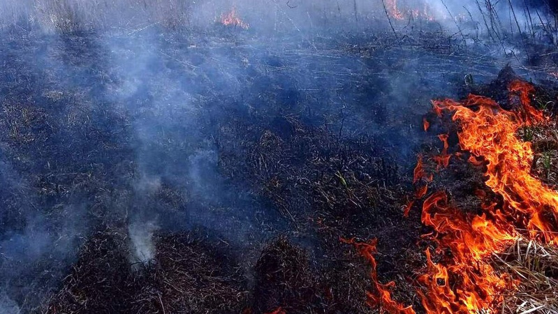 У селі на Волині горів торф, пожежу гасив 21 рятувальник