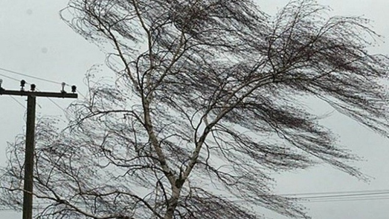 Синоптики попереджають волинян про сильний вітер