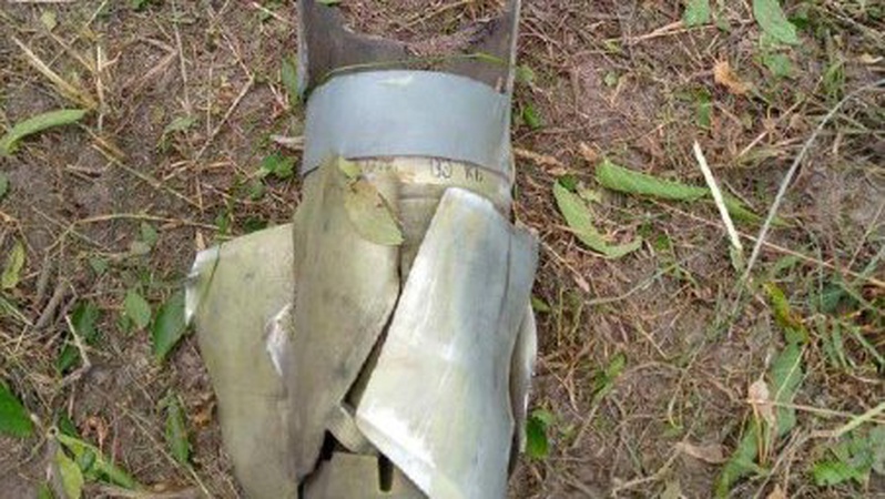 Російські загарбники «градами» обстріляли пасовище з коровами