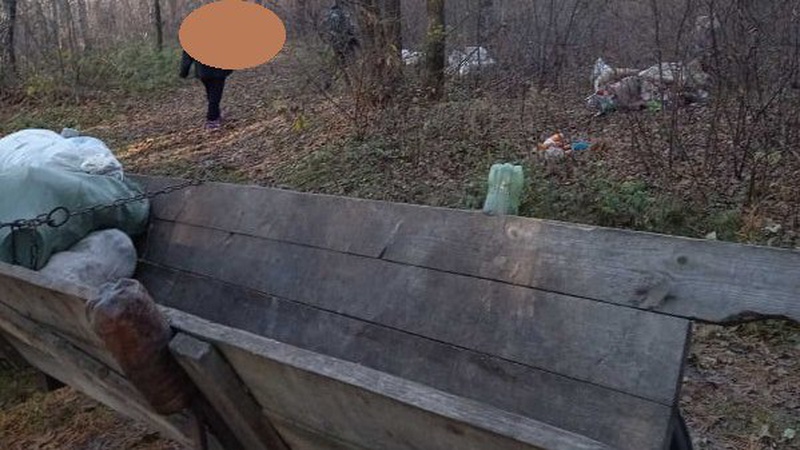 Привезла підводою побутове сміття в ліс: як покарали волинянку