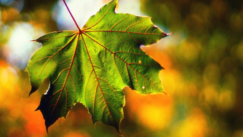Сонячно, проте місцями грози: прогноз погоди на 21 вересня