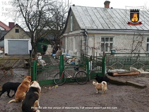 Лучанин збирає сміття на своєму подвір’ї: що йому за це буде