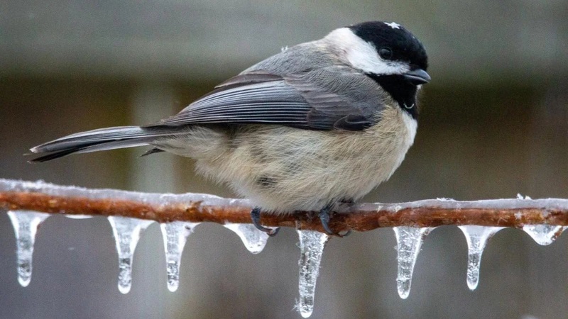 Хмарно, з періодичними опадами: прогноз погоди на 10 грудня