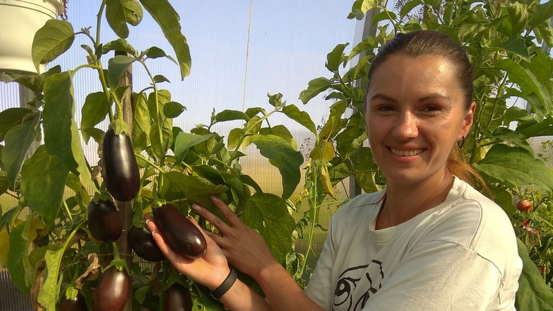 Квітково-овочевий бізнес жительки Каменя-Каширського: як любов до рослин надихнула на власну справу