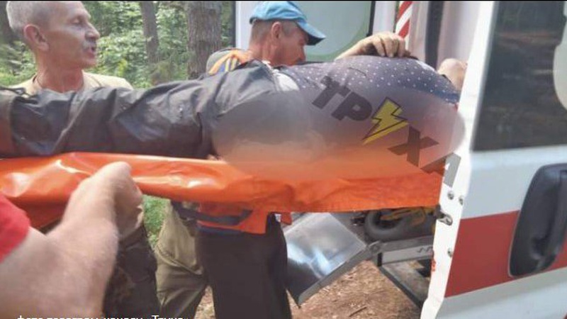 На волинянина під час роботи в лісі впало дерево і відсікло руку