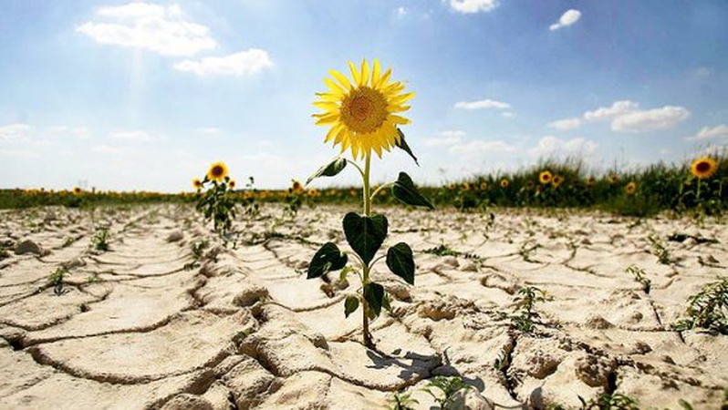 Чи дощитиме в перший день літа у Луцьку