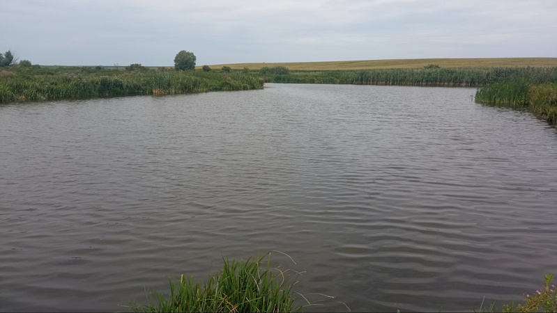 У Локачинській громаді здають в оренду ставок площею понад 3 гектари