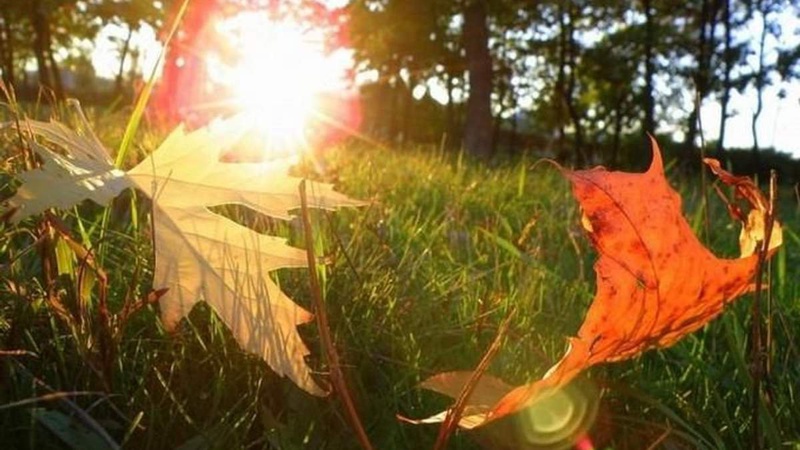 Синоптики спрогнозували погоду на Волині 15-16 жовтня