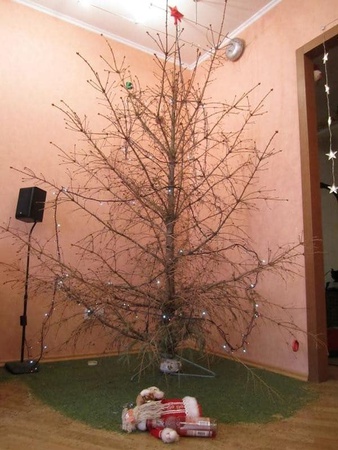 Біля адмінприміщення мунварти у Луцьку забули розібрати «ялинку»