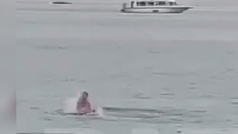 У Єгипті акула з’їла російського туриста. ВІДЕО