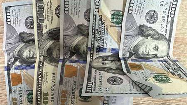 На Волині ухилянт з Вінниці хотів потрапити за кордон за 500 доларів.ФОТО