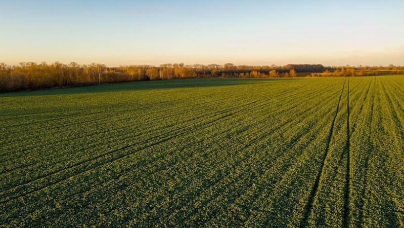 Олицькій громаді повернули земельну ділянку вартістю понад 20 мільйонів гривень