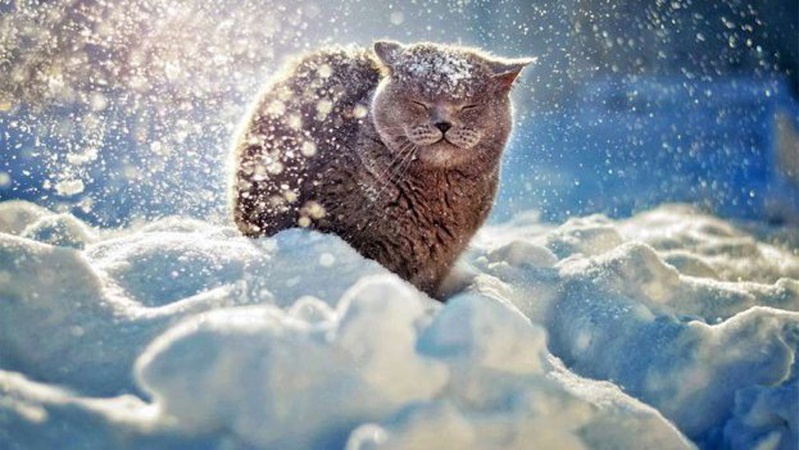 ВООЗ попередила про сувору зиму для українців