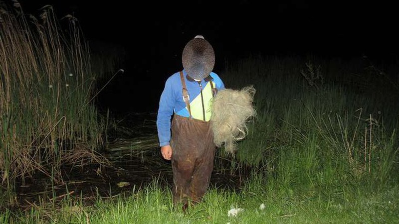 На Волині рятували рибу від браконьєрів. ФОТО