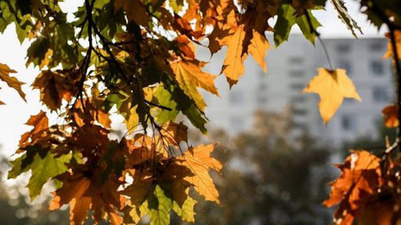 Яка погода очікується завтра, 2 вересня