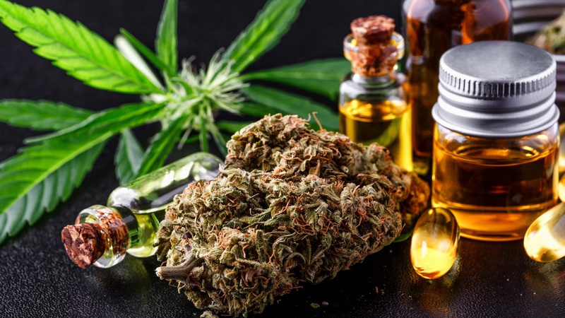 Зеленський підписав закон про медичний канабіс