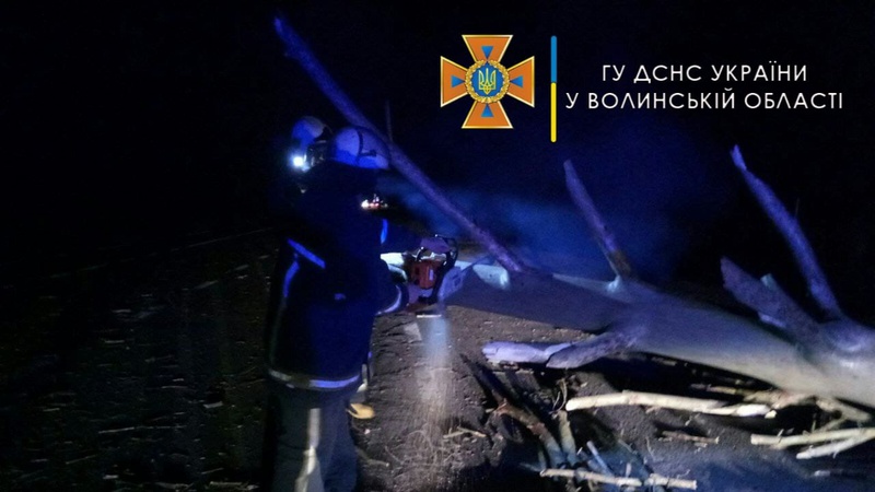 В селах на Волині вітер повалив дерева