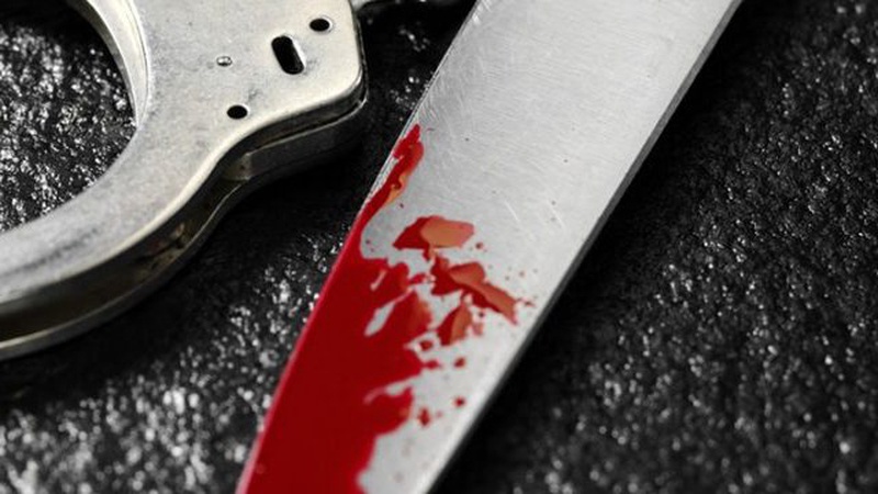 У селі на Волині чоловік зарізав сина своєї співмешканки