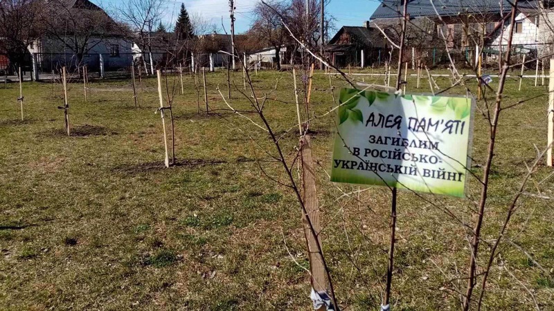 У Ковелі висадили алею пам’яті загиблих українців у війні з росією