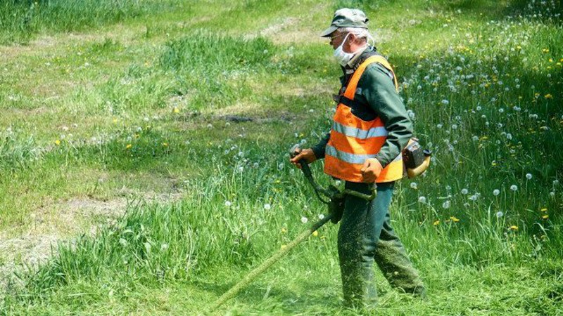 У Луцьку на прибирання, косіння газонів і нанесення дорожньої розмітки за рік витратять близько 10 мільйонів