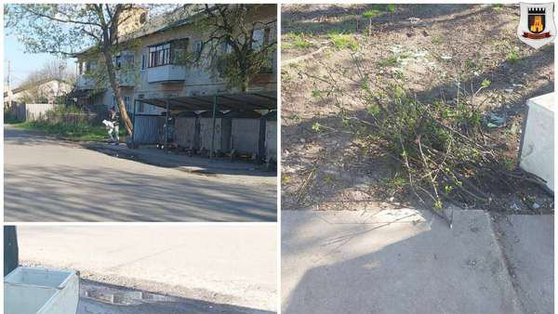 Викинула гілля: у Луцьку муніципали зловили «рідкісну пташку»