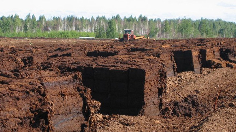 Любешівський торф хочуть продавати в Емірати