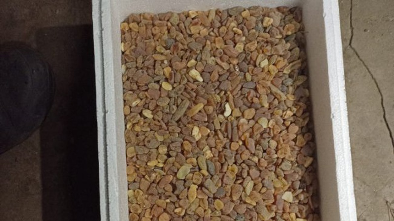 У трьох волинян вилучили понад тридцять кілограмів бурштину. ФОТО