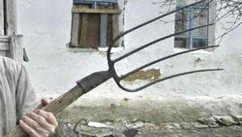 Волинянин побив сусіда, який прийшов на «розбірки» з вилами