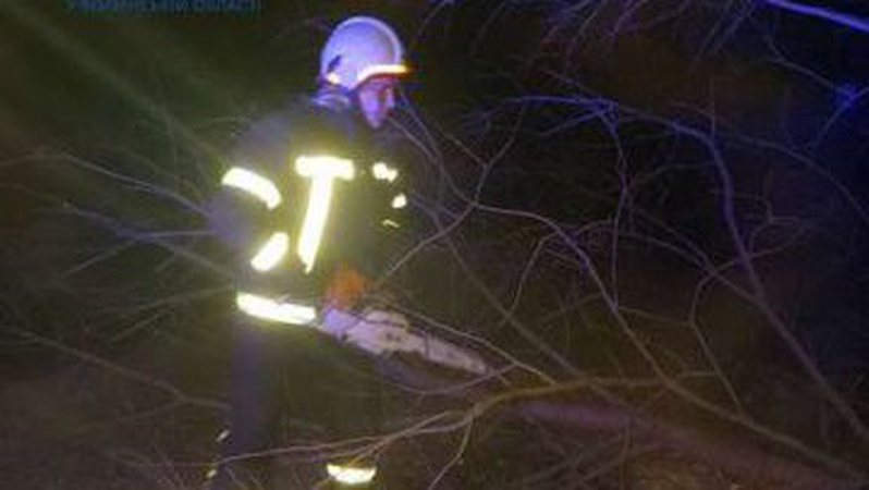 На Волині дерево впало на дорогу й перекрило рух транспорту