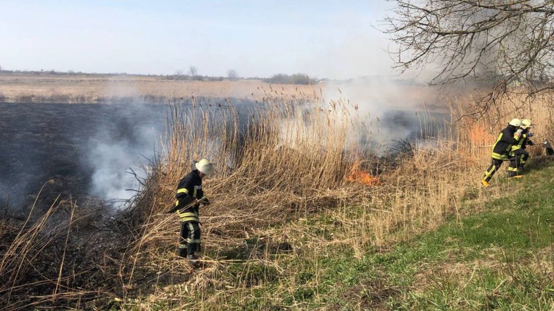 На Волині горіли 2,5 гектари сухого очерету