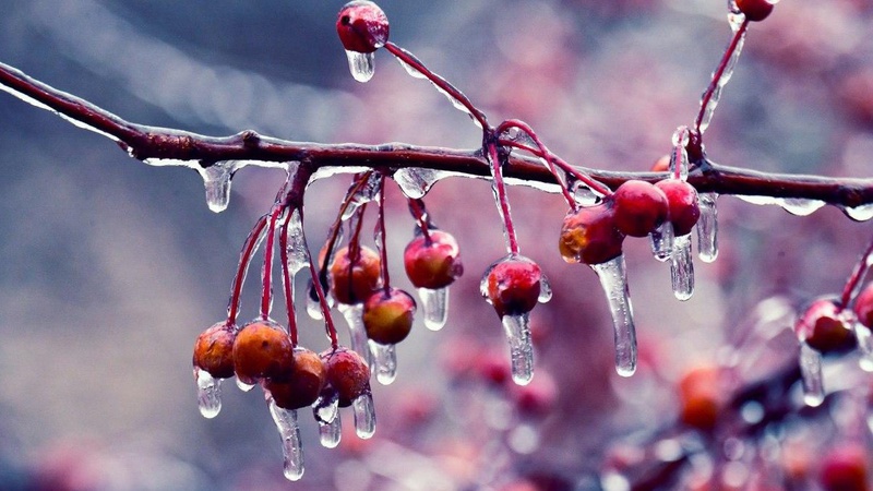 Яка погода очікується завтра, 14 лютого