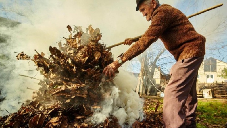 Волинянам не дозволяють спалювати суху рослинність у воєнний час