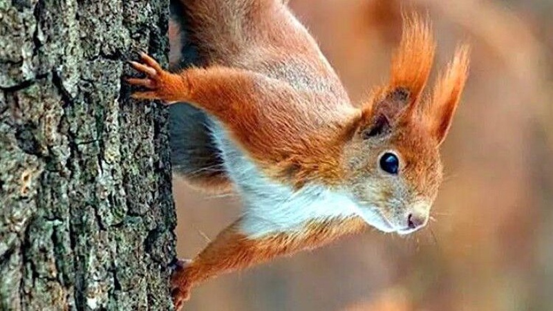 Тепло, місцями дощитиме: прогноз погоди на 23 вересня