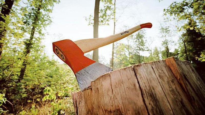 На Волині виявили два авто з незаконою деревиною