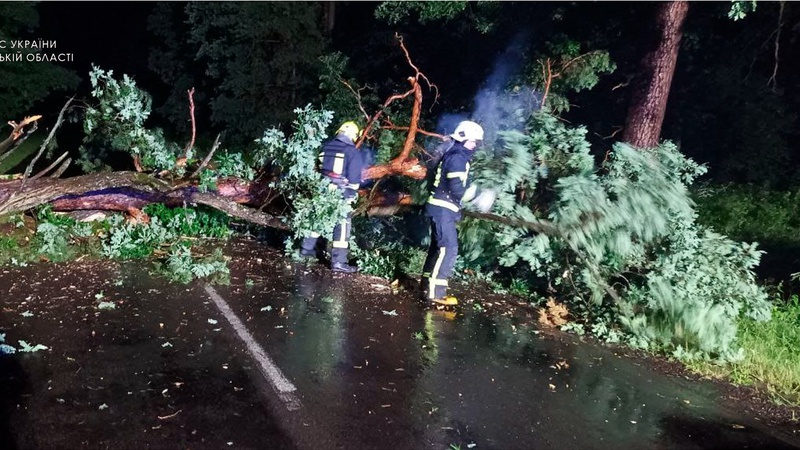 На Волині рятувальники ліквідували наслідки негоди,  вилучили плазуна з будинку й врятували собаку з колодязя
