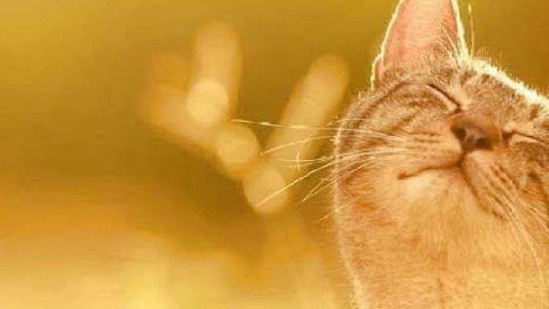 На вихідних в Україну прийде потепління