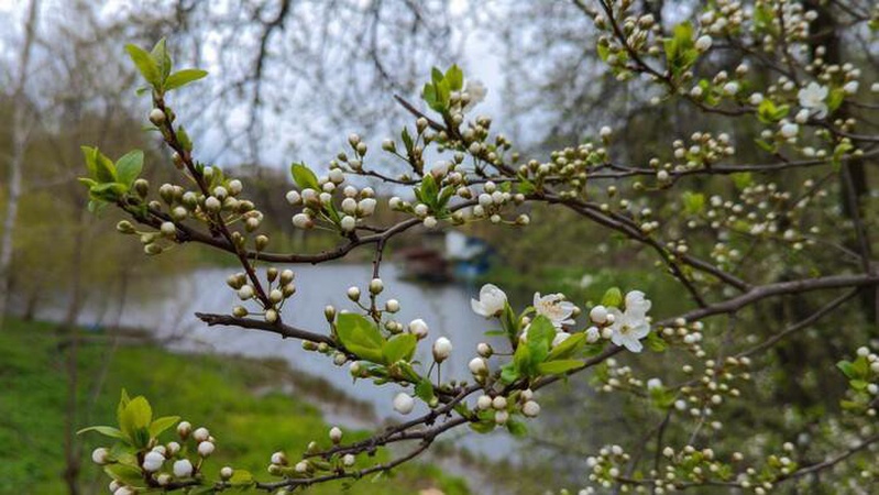 Україну знову охоплять дощі: прогноз погоди на 21 квітня