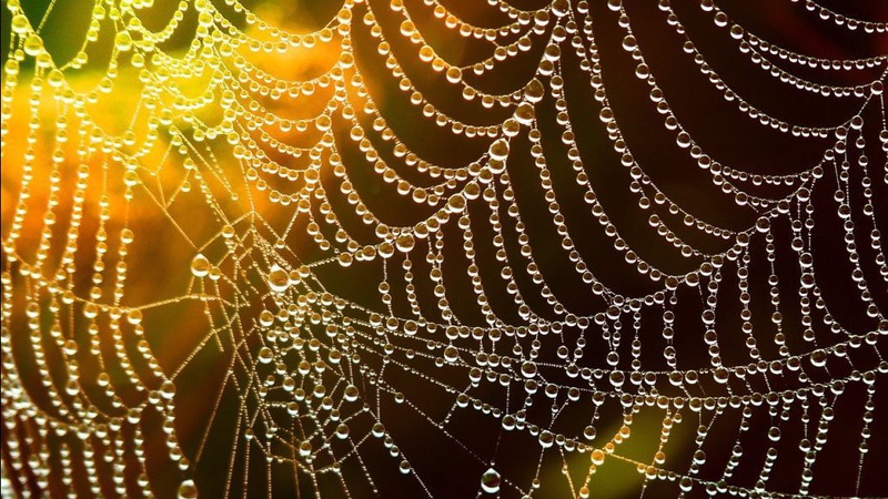 У неділю Україну омиє дощами: прогноз погоди на 16 червня