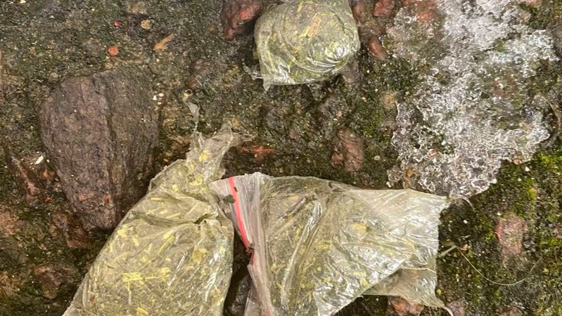 Намагався втекти від патрульних: у Луцьку посеред вулиці затримали юнаків з наркотиками