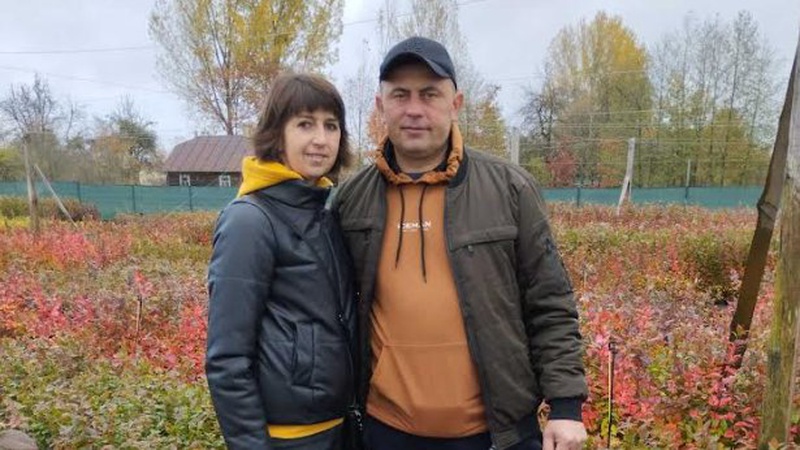 Волинянин вирощує новорічні деревця, саджанці лохини та культивує хризантеми