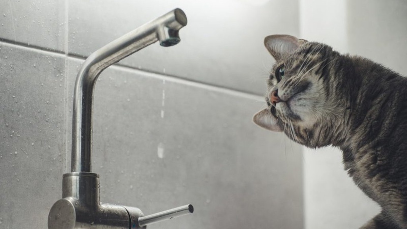 У Рожищі сталась аварія на водопроводі, дві вулиці – без води