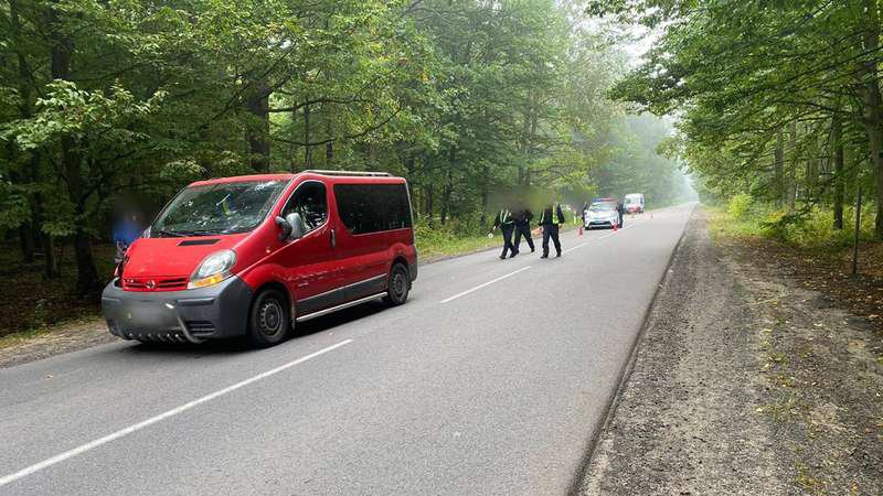 На Волині — смертельна ДТП: авто збило велосипедистку