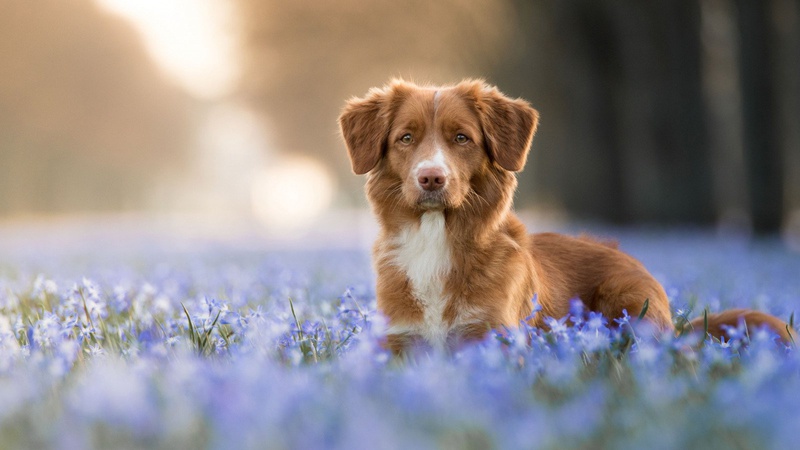 Невеликі дощі та хмарно з проясненнями: прогноз погоди на 7 квітня