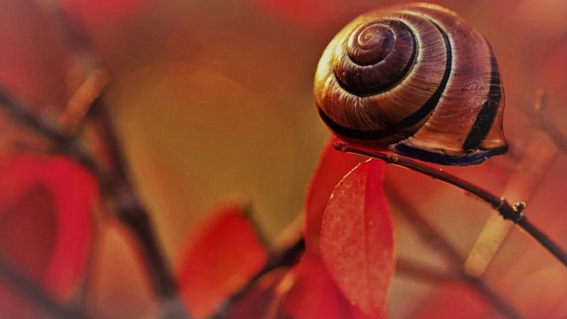 Яка погода очікується завтра, 7 жовтня