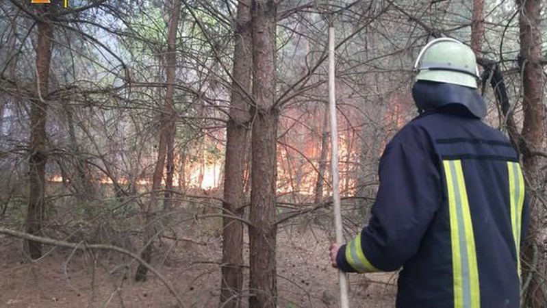 На Волині горіли ліси: на місці працювало 59 рятувальників