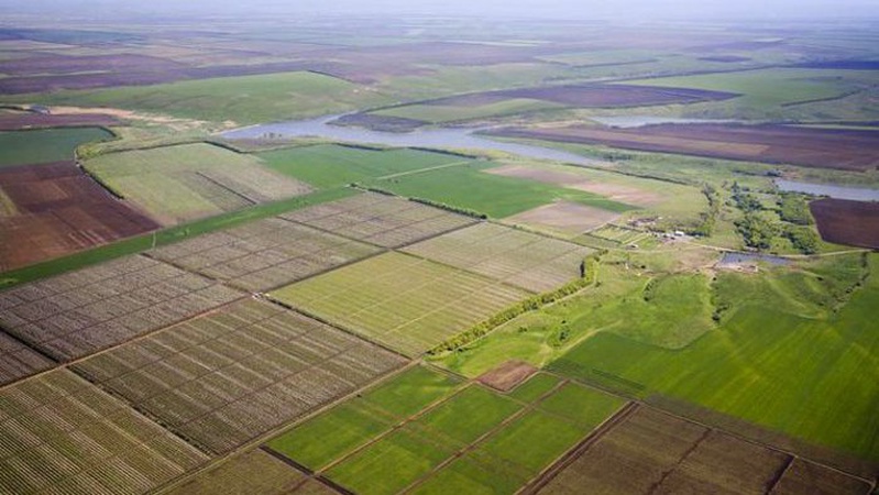Чи купують інвестори землю під час війни, — Алекс Ліссітса